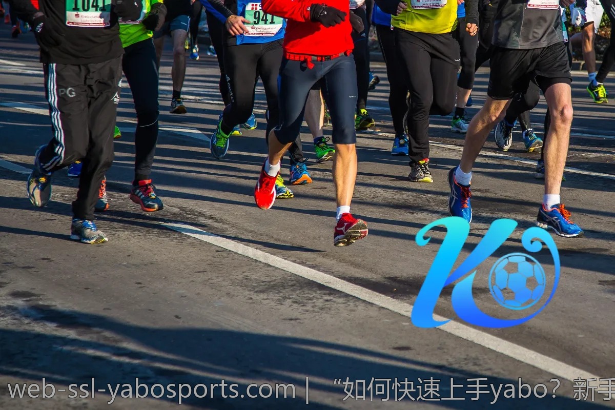 “如何快速上手yabo?新手必看经验分享”